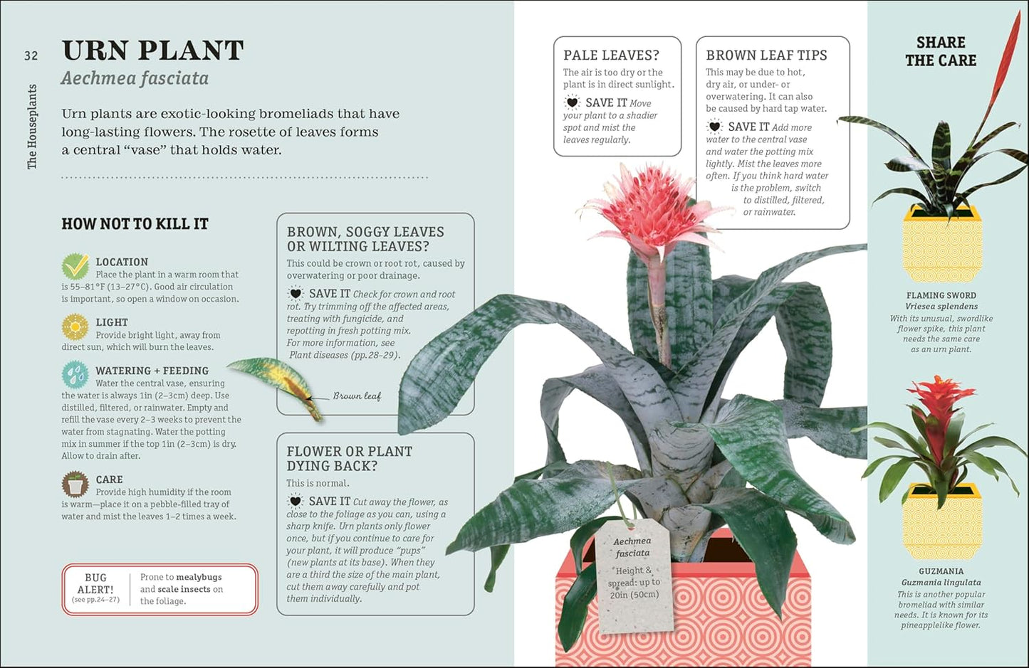 How Not to Kill Your Houseplant New Edition: Survival Tips for the Horticulturally Challenged: Survival Tips for the Horticulturally Challenged