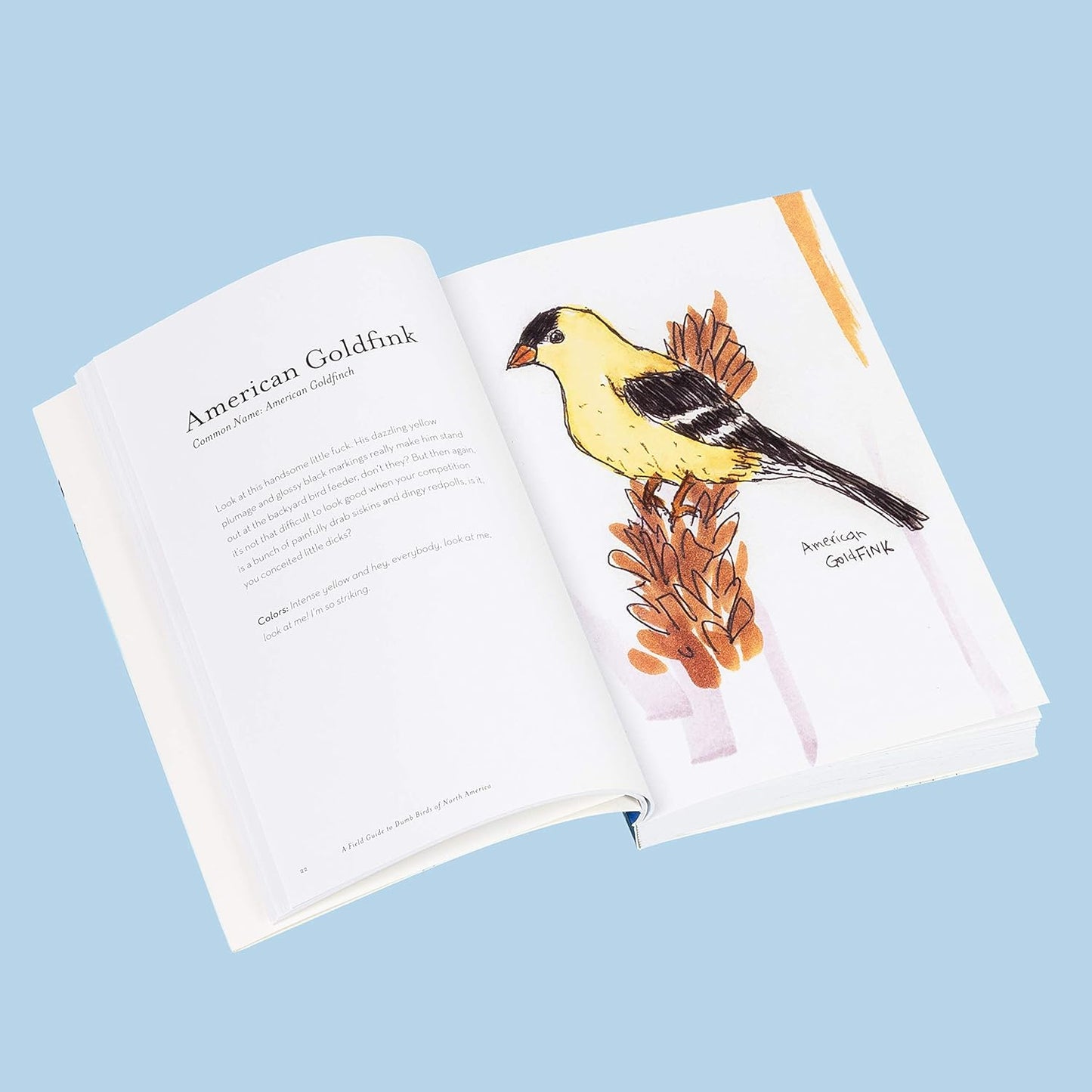 The Field Guide to Dumb Birds of North America by Matt Kracht