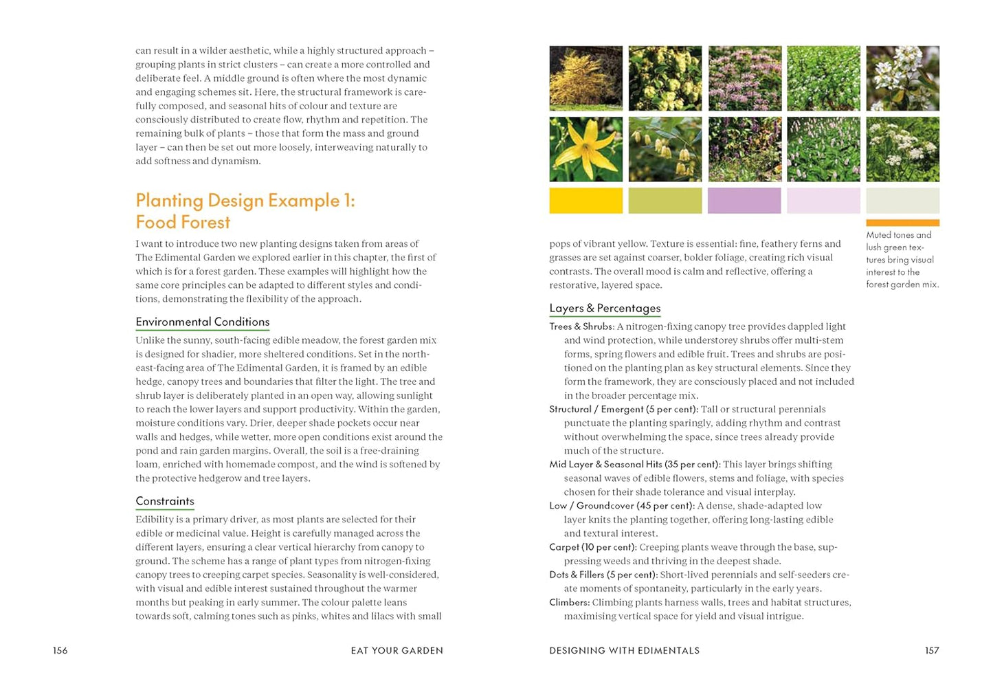 Eat Your Garden: Edimentals as a Beautiful, Low-Effort Way to Grow Food