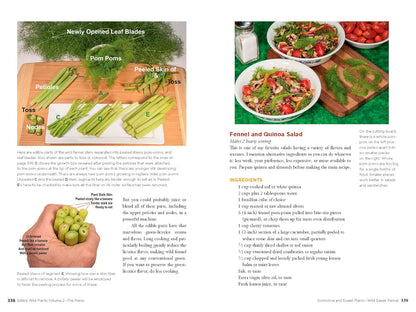 Edible Wild Plants, Volume 2: Wild Foods from Foraging to Feasting by John Kallas Phd