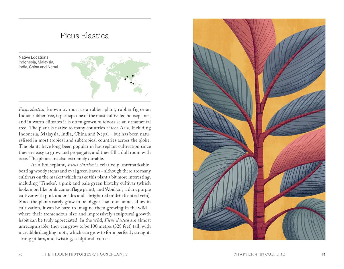 The Hidden Histories of Houseplants: Fascinating Stories of Our Most-Loved Houseplants