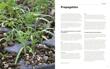100 Herbs to Grow: A Comprehensive Guide to the Best Culinary and Medicinal Herbs