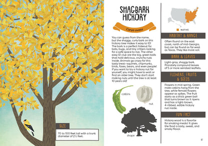 A Kid's Guide to Backyard Trees