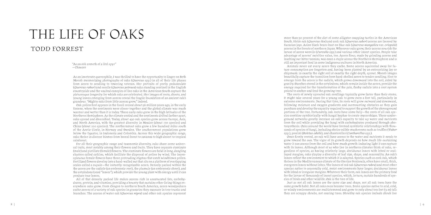 Oak: From Seed to Ancient Tree: From Seed to Ancient Tree