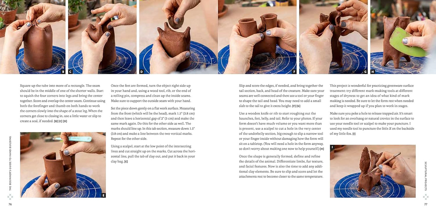 The Beginner's Guide to Hand Building: Functional and Sculptural Projects for the Home Potter by Sunshine Cobb