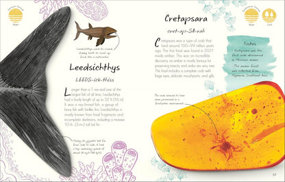 An Anthology of Fossils: A Collection of Plant and Animal Fossils from Around the World