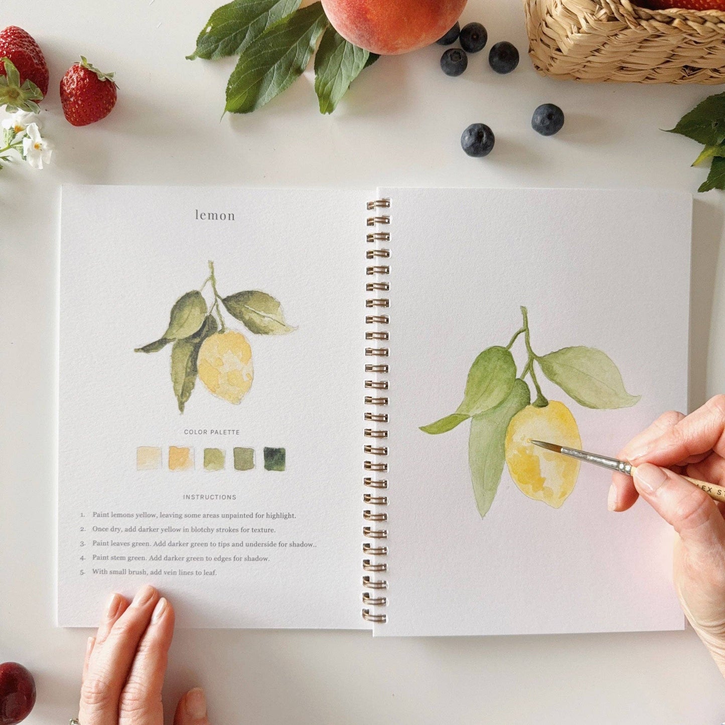 Fruit Watercolor Workbook by Emily Lex