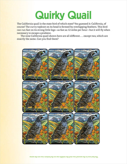 Molly Hashimoto's Art & Nature Activity Book