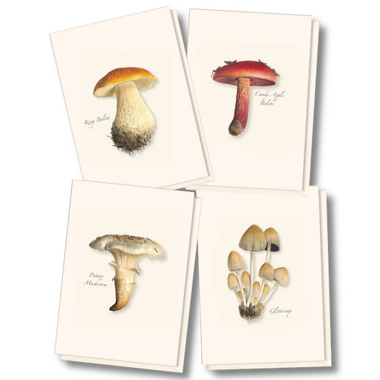 Mushroom Assortment Notecard Set