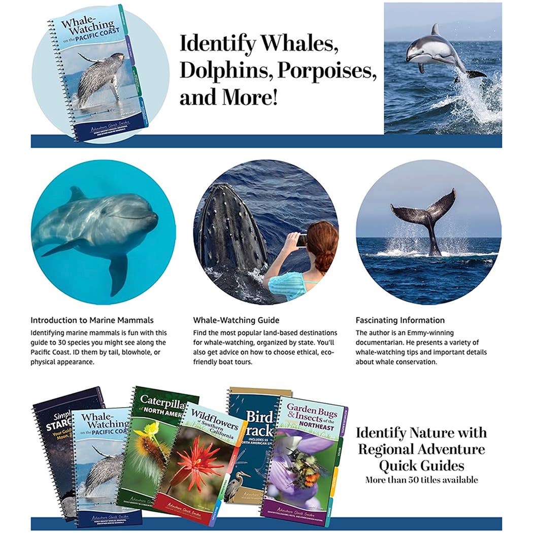 Whale-Watching on the Pacific Coast: Easily Identify Whales, Dolphins, and Other Marine Mammals: Easily Identify Whales, Dolphins, and Other Marine Mammals