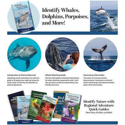 Whale-Watching on the Pacific Coast: Easily Identify Whales, Dolphins, and Other Marine Mammals: Easily Identify Whales, Dolphins, and Other Marine Mammals