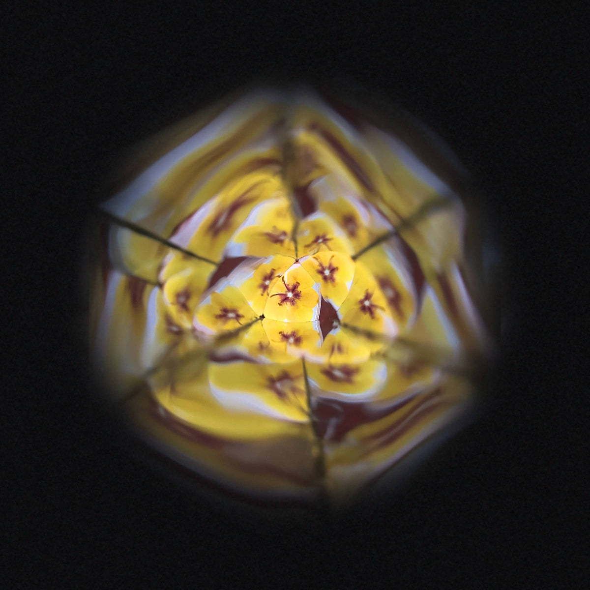 Flower Kaleidoscope