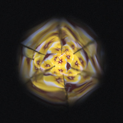 Flower Kaleidoscope