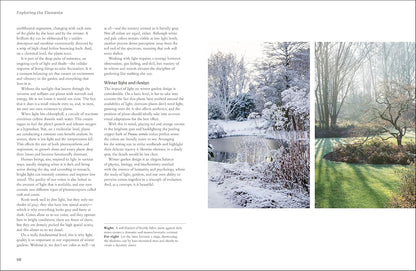 The Winter Garden: Celebrate the Forgotten Season: Celebrate the Forgotten Season