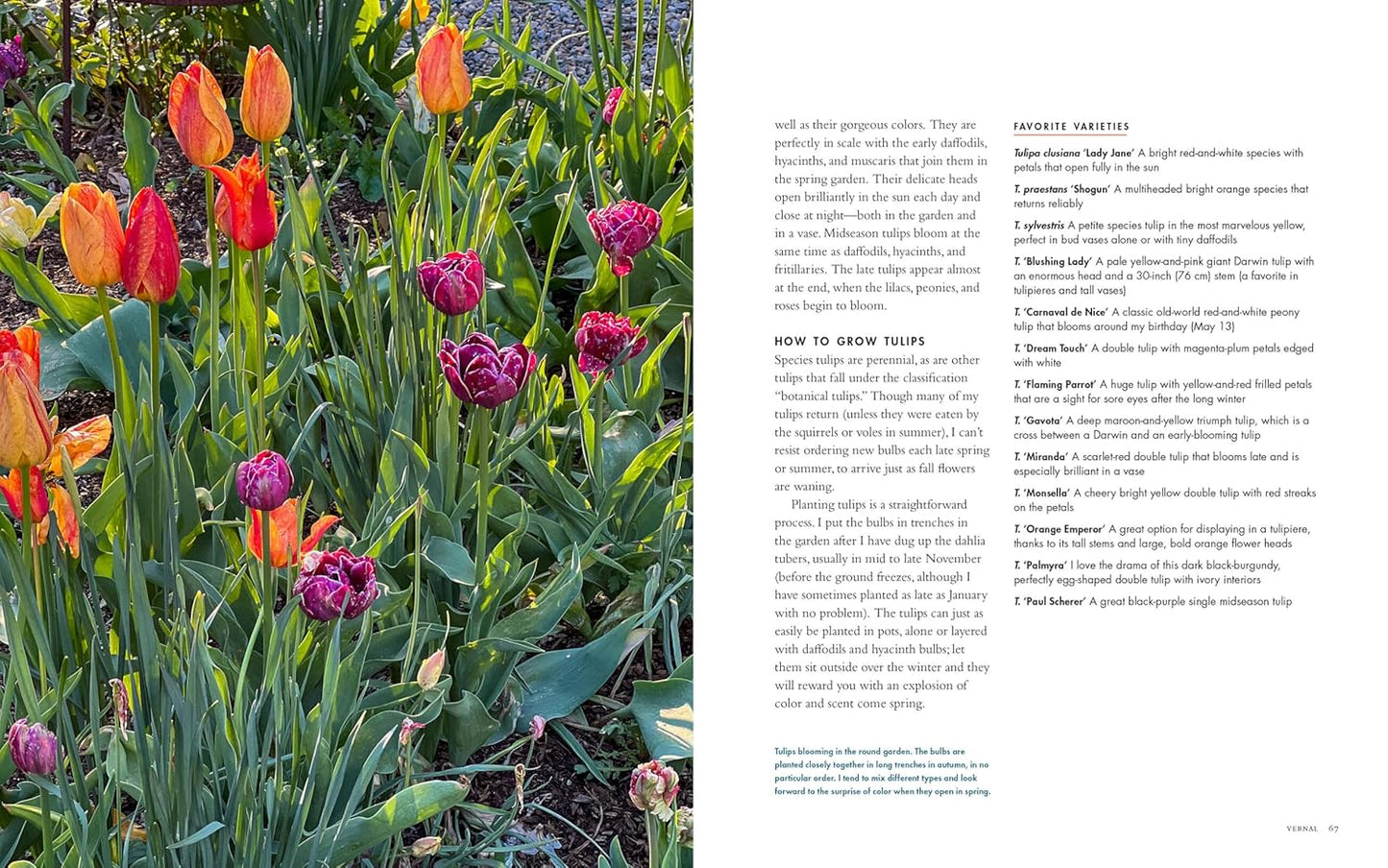 Life with Flowers: Inspiration and Lessons from the Garden: Inspiration and Lessons from the Garden