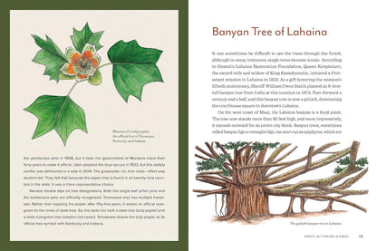 Knowing the Trees: Discover the Forest from Seed to Snag: Discover the Forest from Seed to Snag