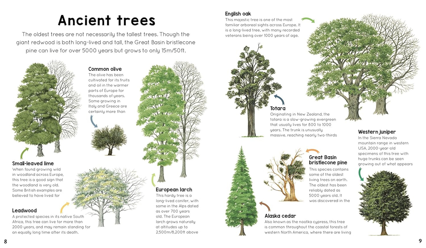 My First Encyclopedia of Trees: A Great Big Book of Amazing Plants to Discover: A Great Big Book of Amazing Plants to Discover