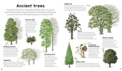 My First Encyclopedia of Trees: A Great Big Book of Amazing Plants to Discover: A Great Big Book of Amazing Plants to Discover