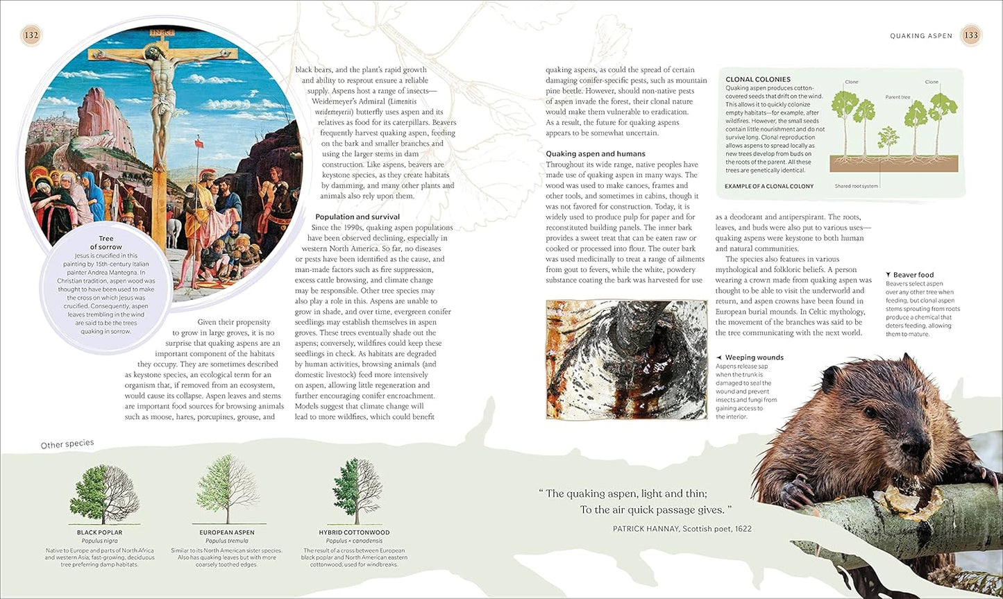 The Tree Book: The Stories, Science, and History of Trees: The Stories, Science, and History of Trees