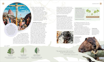 The Tree Book: The Stories, Science, and History of Trees: The Stories, Science, and History of Trees