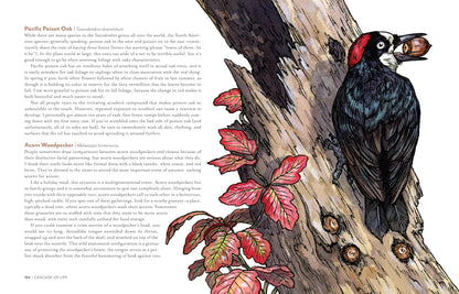 Cascade of Life: An Artist’s Seasonal Guide to the Wild Northwest