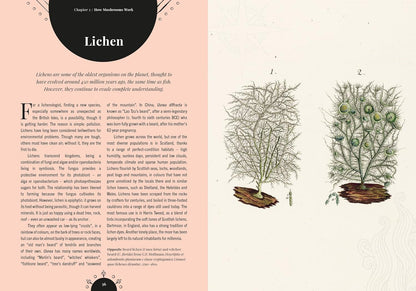 The Magic of Mushrooms: Fungi in Folklore, Superstition and Traditional Medicine: Fungi in Folklore, Superstition and Traditional Medicine