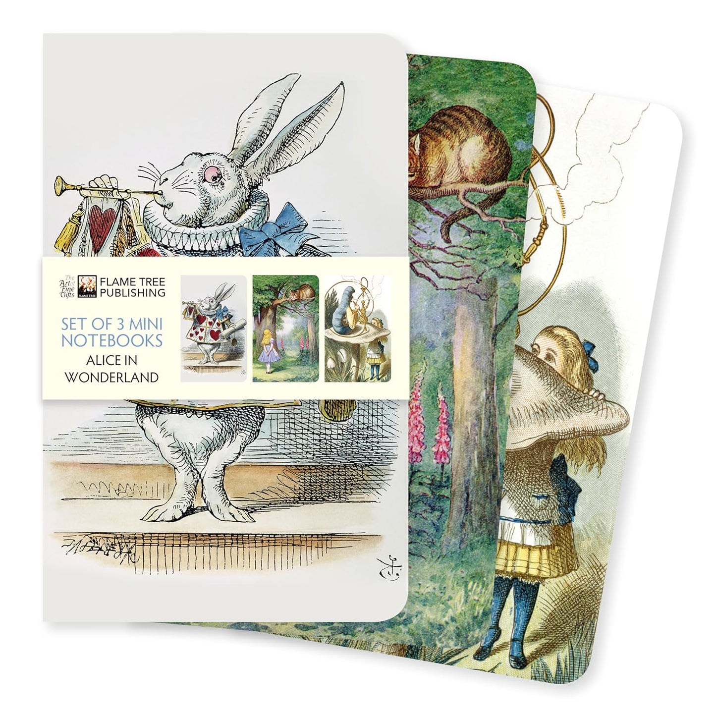 Alice's Adventures in Wonderland Set of 3 Mini Notebooks