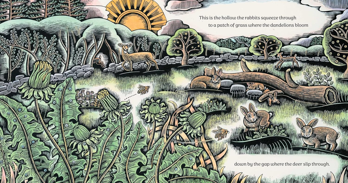 Where the Deer Slip Through by Katey Howes