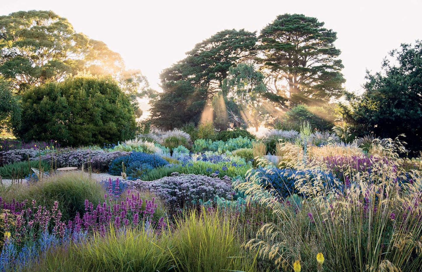 Dreamscapes: Inspiration and Beauty in Gardens Near and Far: Inspiration and Beauty in Gardens Near and Far