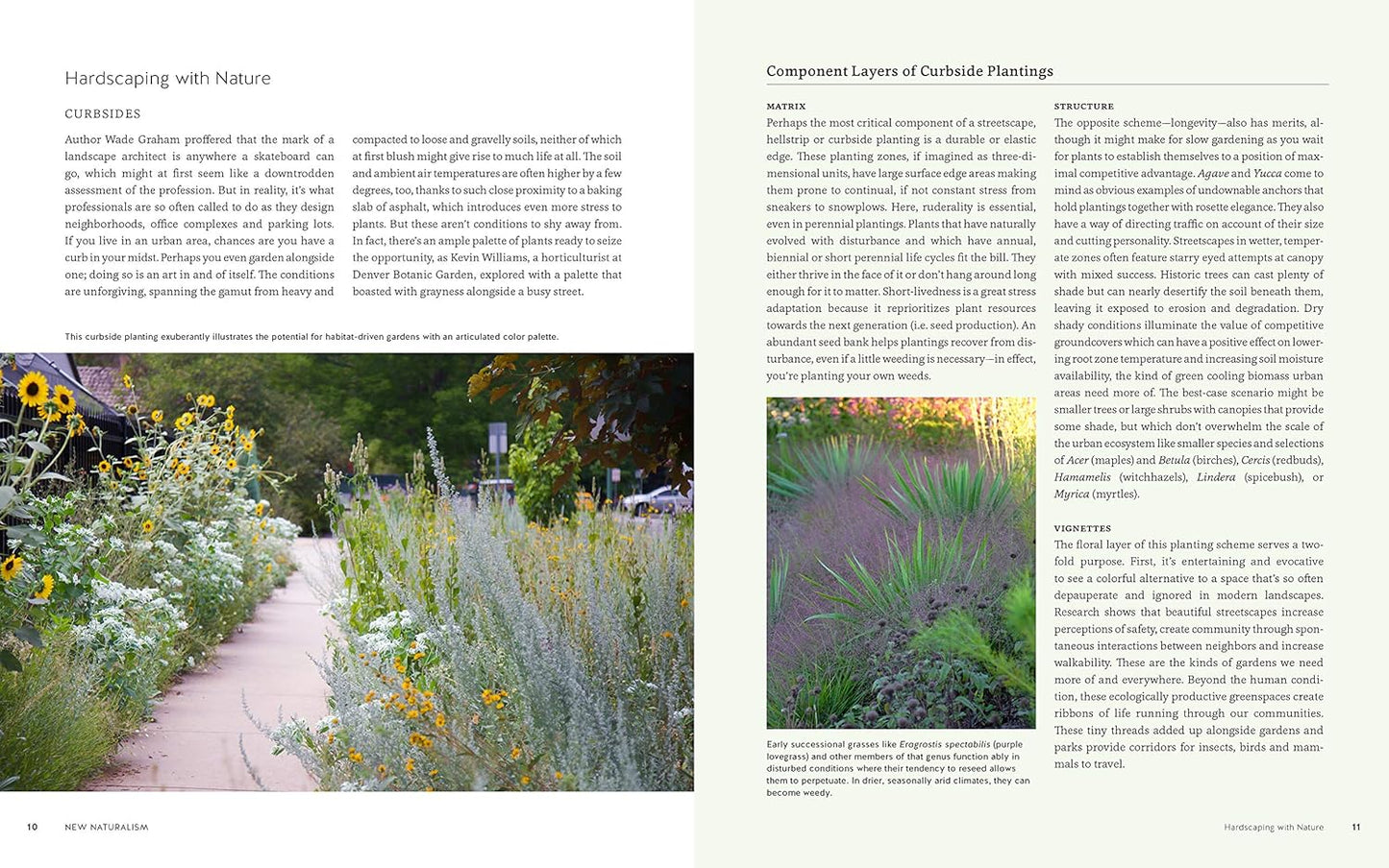 New Naturalism: Designing and Planting a Resilient, Ecologically Vibrant Home Garden