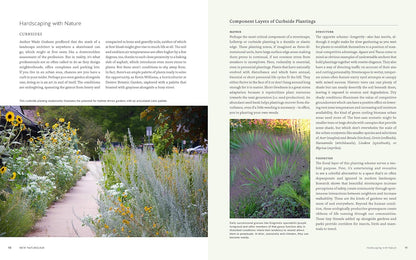 New Naturalism: Designing and Planting a Resilient, Ecologically Vibrant Home Garden