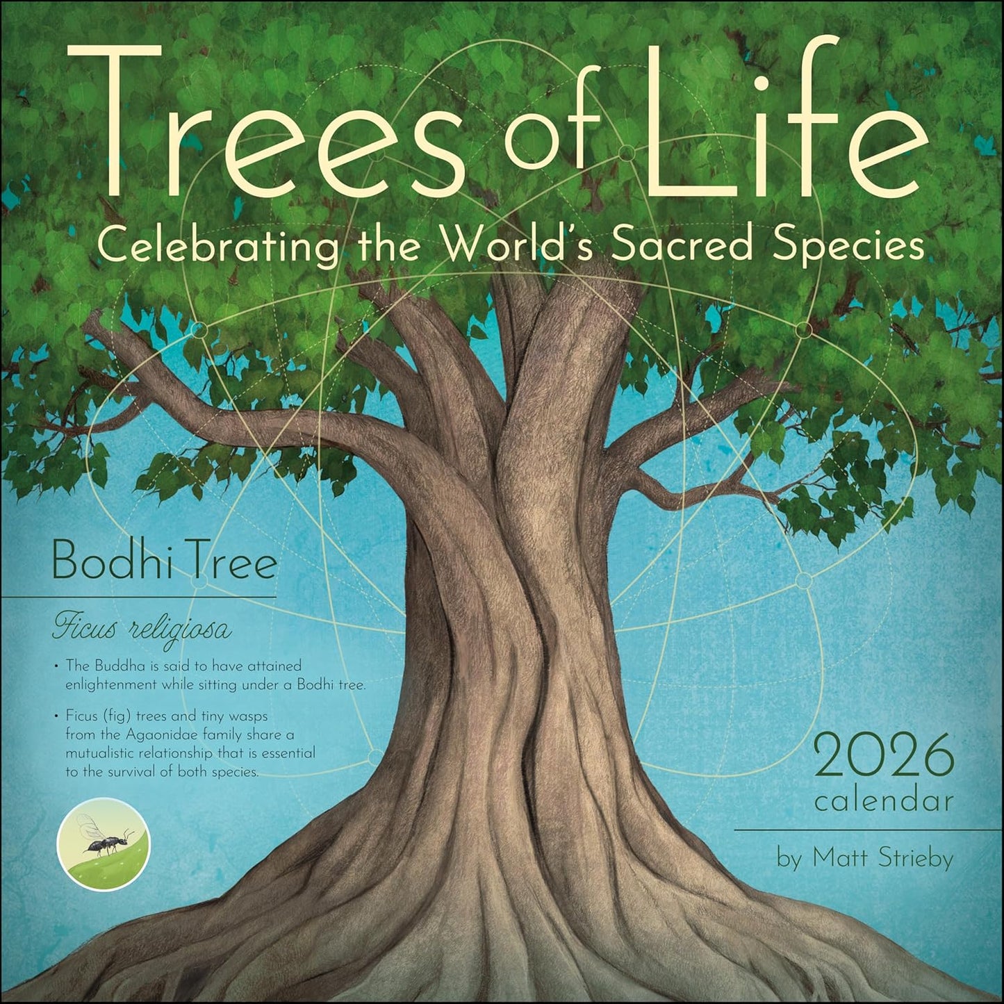 Trees of Life 2026 Wall Calendar: Celebrating the World's Sacred Species by Matt Strieby