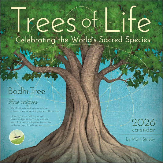 Trees of Life 2026 Wall Calendar: Celebrating the World's Sacred Species by Matt Strieby
