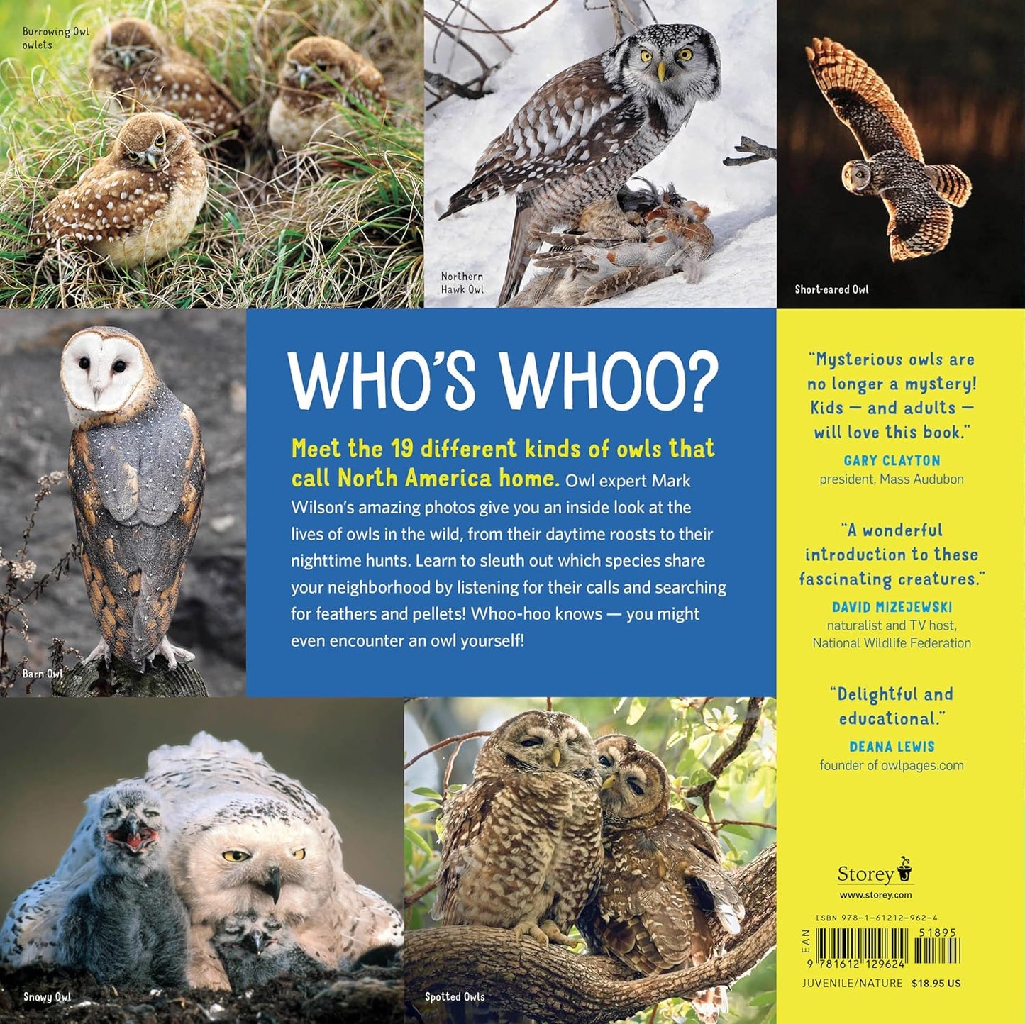 Owling: Enter the World of the Mysterious Birds of the Night by Mark Wilson