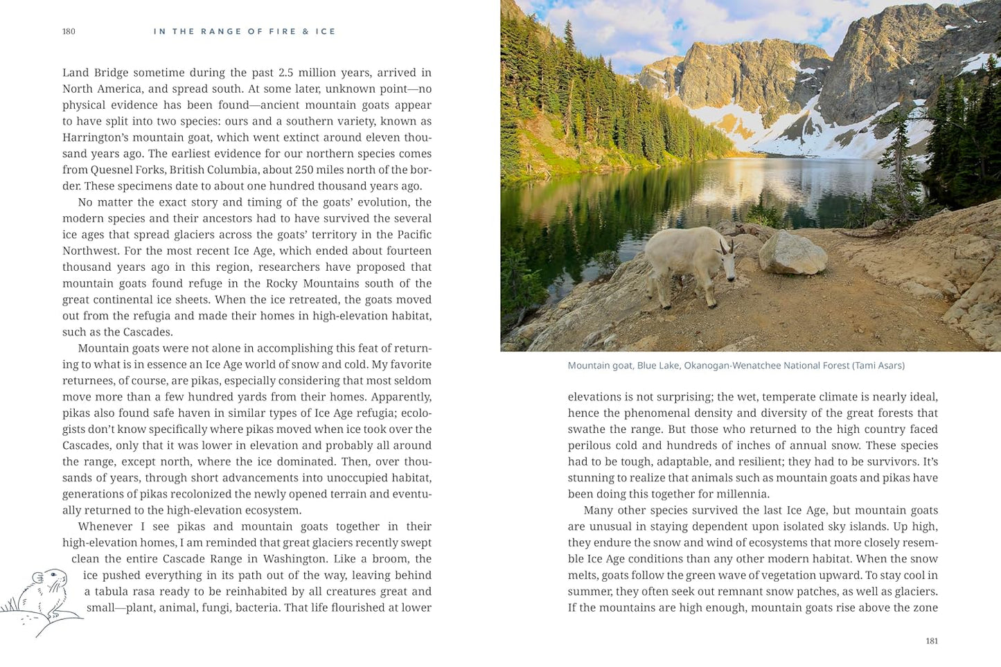 In the Range of Fire and Ice: A Human and Natural History of Washington’s Cascades