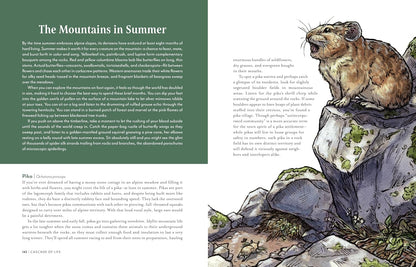 Cascade of Life: An Artist’s Seasonal Guide to the Wild Northwest