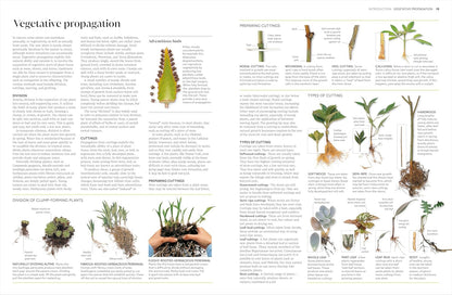 Propagating Plants: How to Grow Plants for Free: How to Grow Plants for Free