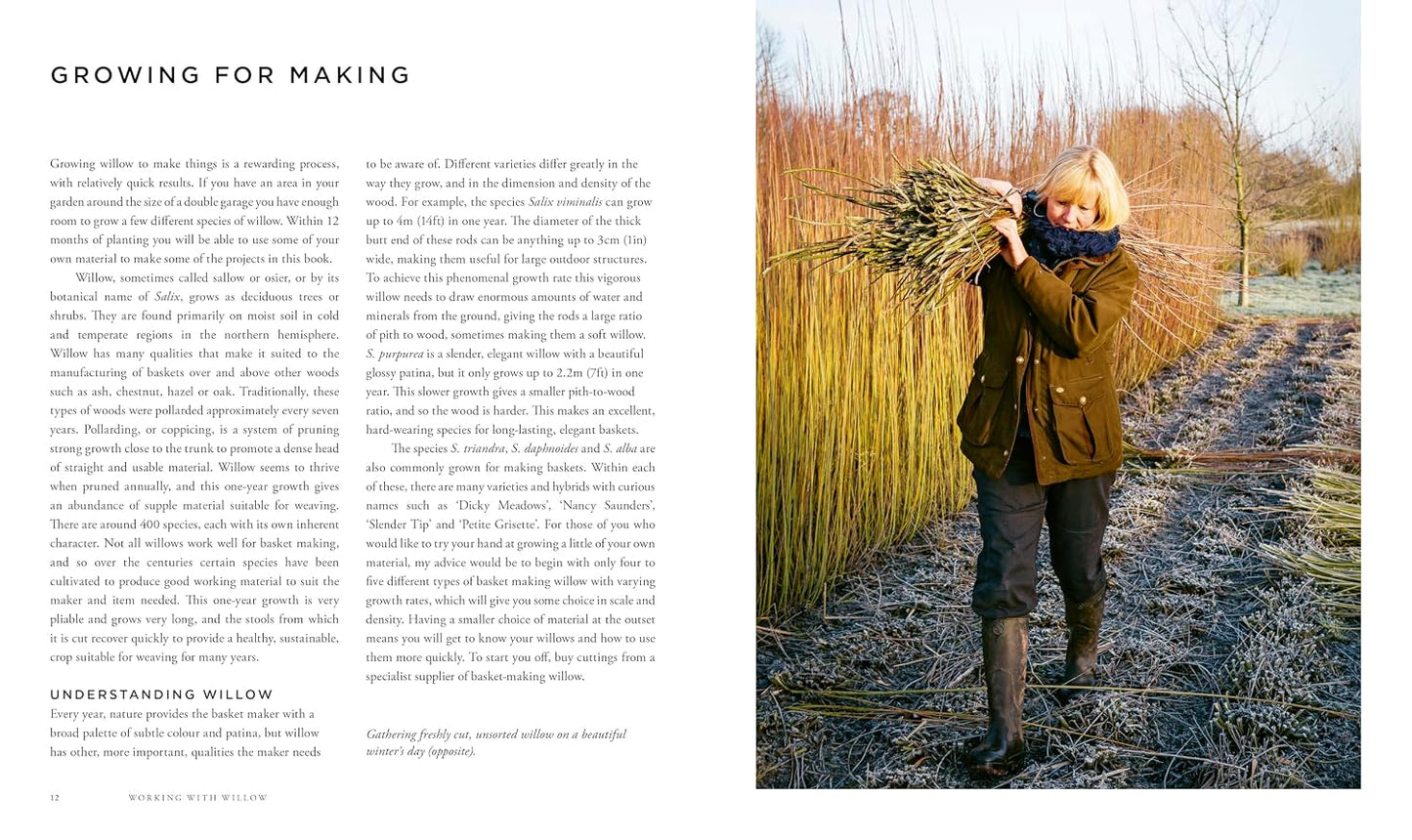 Willow: A Guide to Growing and Harvesting - Plus 20 Beautiful Woven Projects