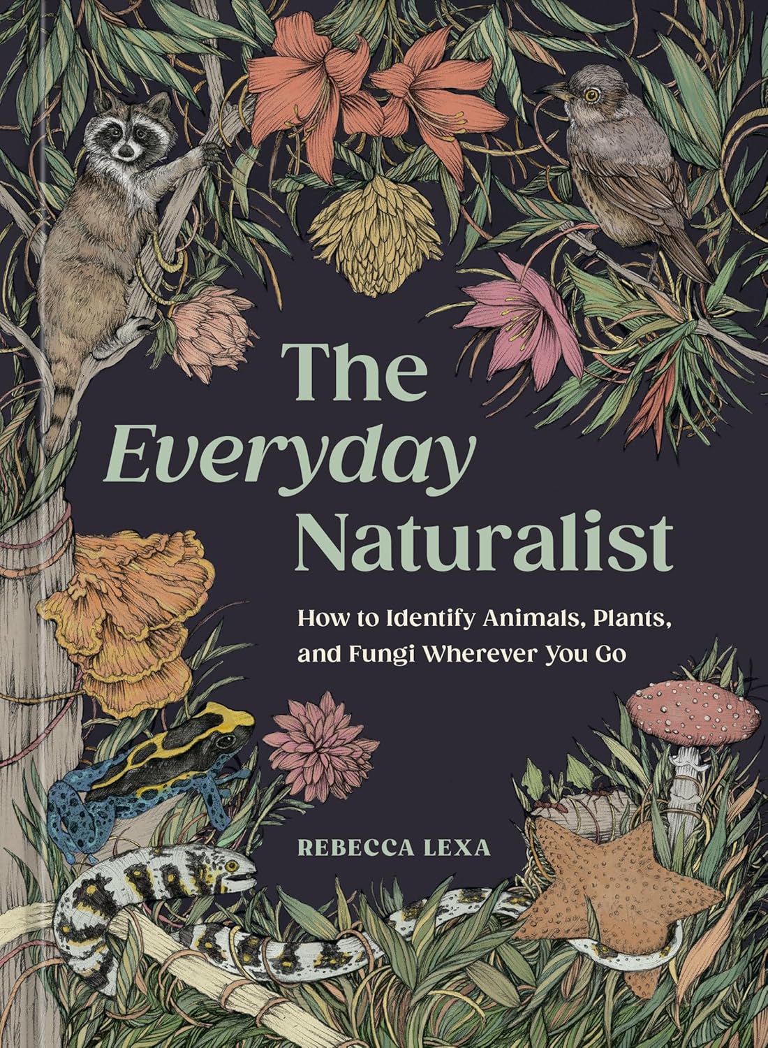 The Everyday Naturalist: How to Identify Animals, Plants, and Fungi Wherever You Go by Rebecca Lexa