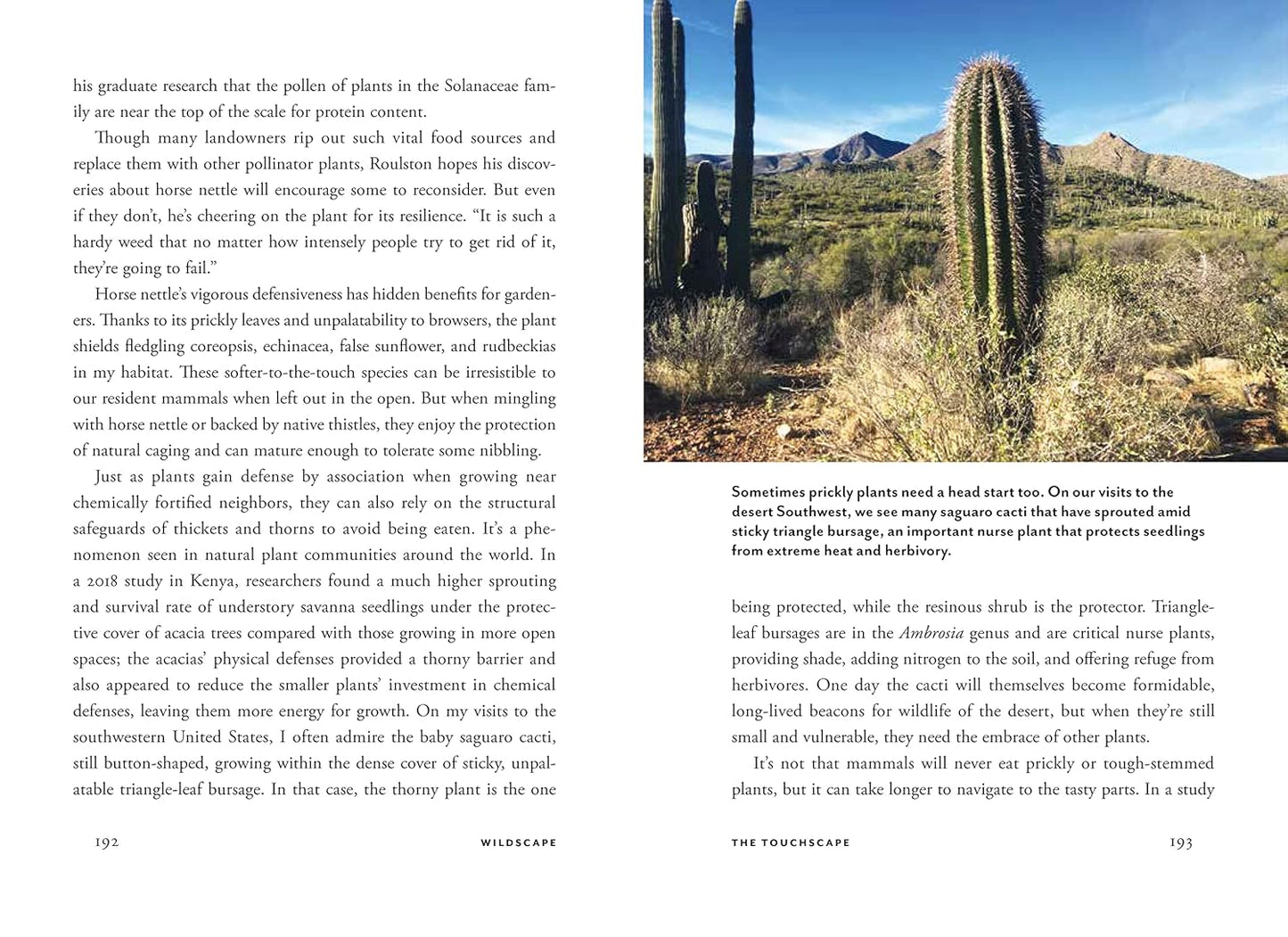 Wildscape: Trilling Chipmunks, Beckoning Blooms, Salty Butterflies, and Other Sensory Wonders of Nature by Nancy Lawson
