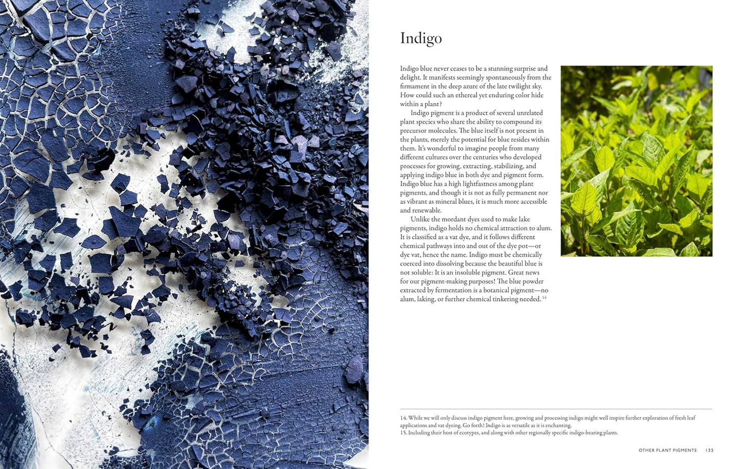From Plant to Pigment: How to Make Your Own Vibrant Inks, Pastels and Paints by Natalie Stopka