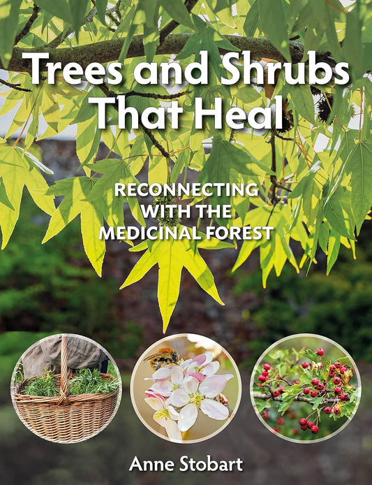 Trees and Shrubs That Heal: Reconnecting with the Medicinal Forest by Anne Stobart