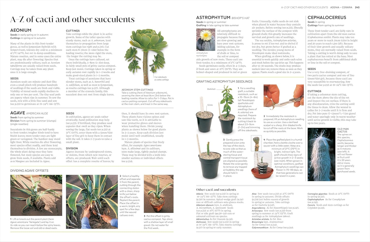 Propagating Plants: How to Grow Plants for Free: How to Grow Plants for Free