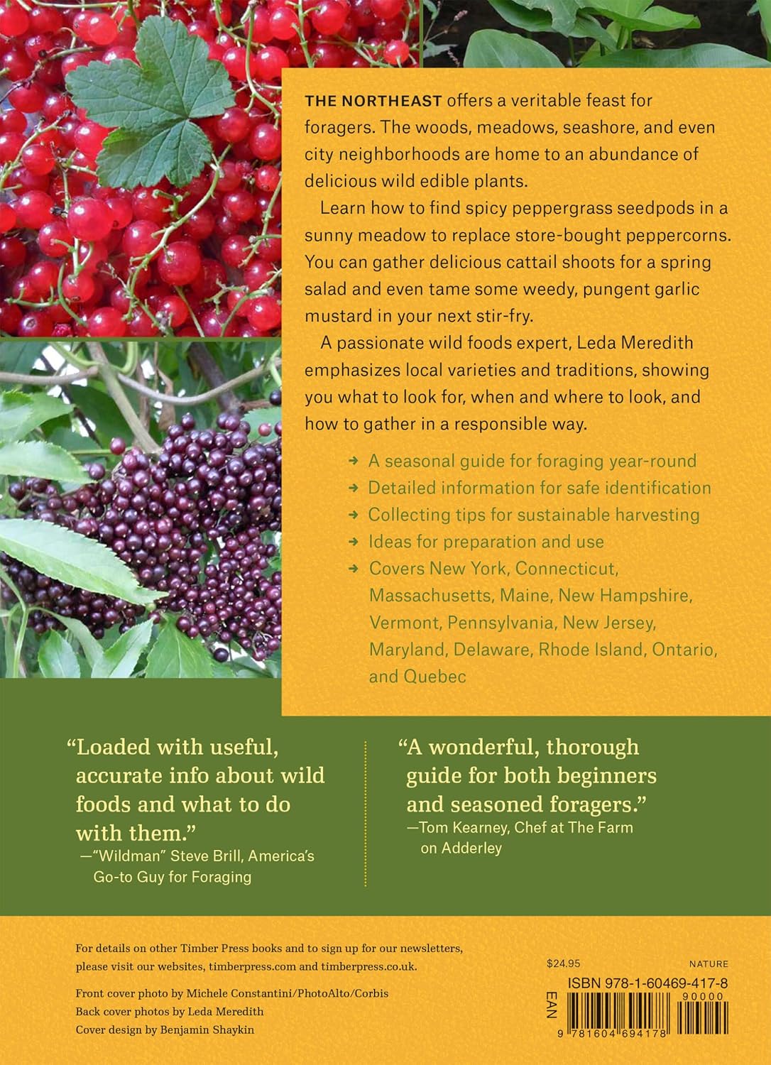 Northeast Foraging: 120 Wild and Flavorful Edibles from Beach Plums to Wineberries