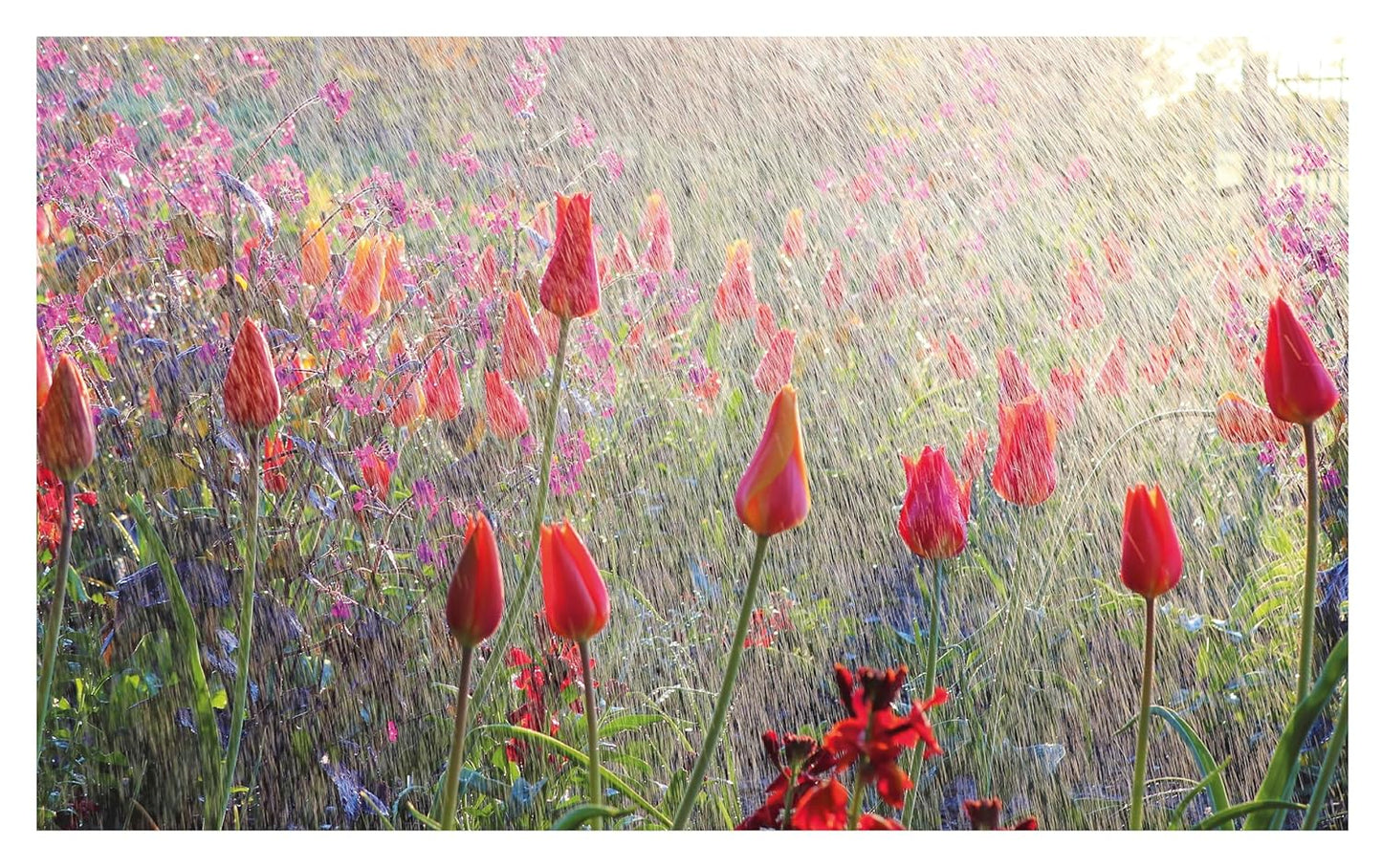 Grounded in the Garden: An Artist's Guide to Creating a Beautiful Garden in Harmony with Nature by Tj Maher