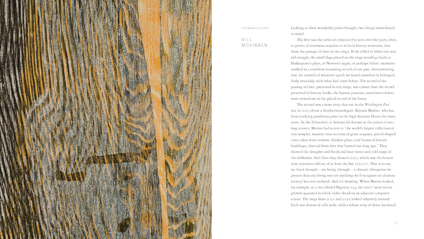 Woodcut by Bryan Nash Gill
