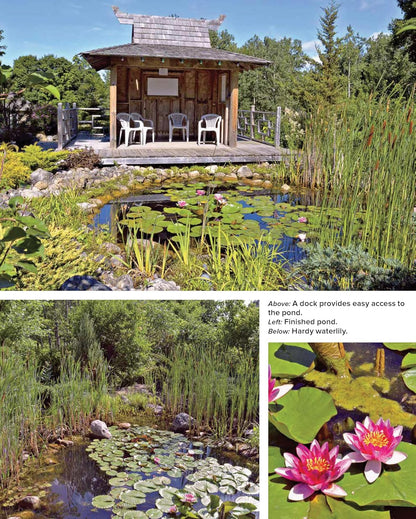Building Natural Ponds: Create a Clean, Algae-Free Pond Without Pumps, Filters, or Chemicals: Create a Clean, Algae-Free Pond Without Pumps, Filters, or Chemicals