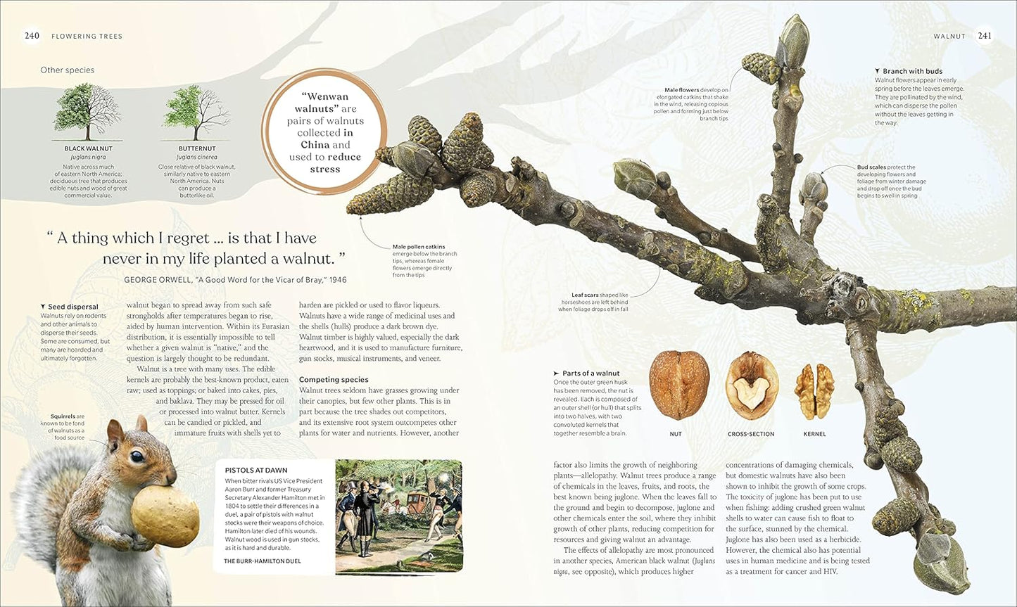 The Tree Book: The Stories, Science, and History of Trees: The Stories, Science, and History of Trees