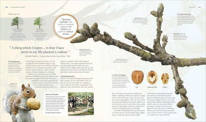 The Tree Book: The Stories, Science, and History of Trees: The Stories, Science, and History of Trees
