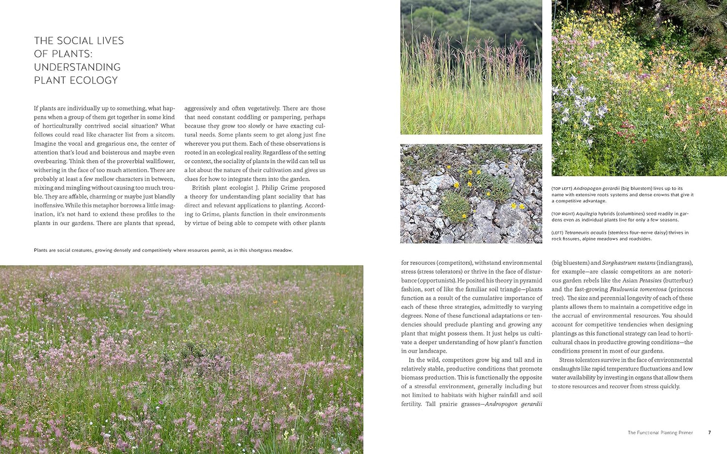 New Naturalism: Designing and Planting a Resilient, Ecologically Vibrant Home Garden